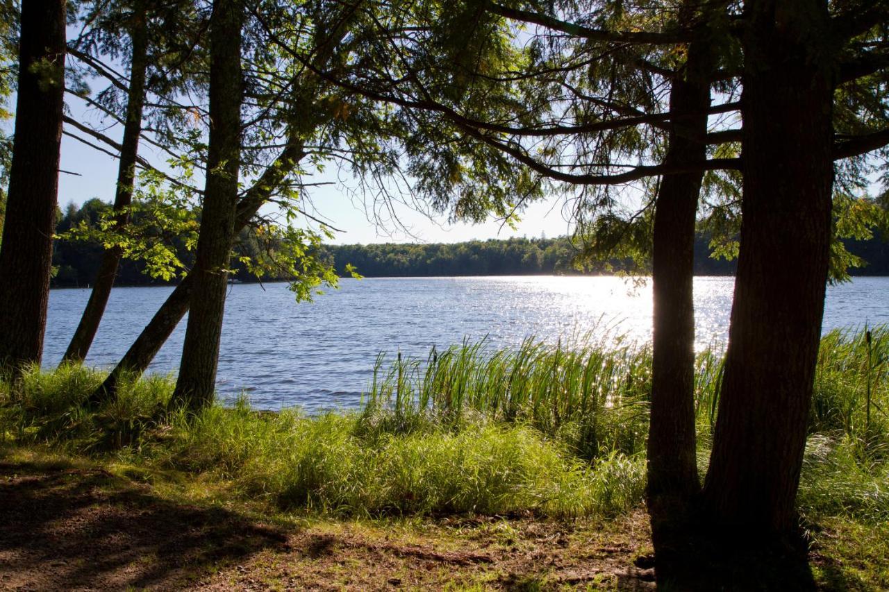 Ferienwohnung Am Weltnaturerbe Grumsin Ziehten Екстер'єр фото