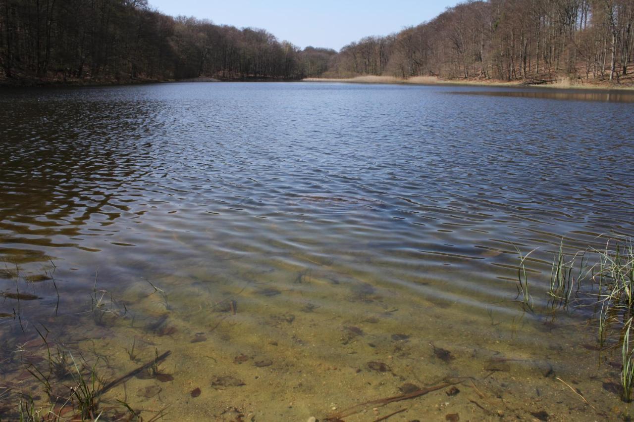 Ferienwohnung Am Weltnaturerbe Grumsin Ziehten Екстер'єр фото