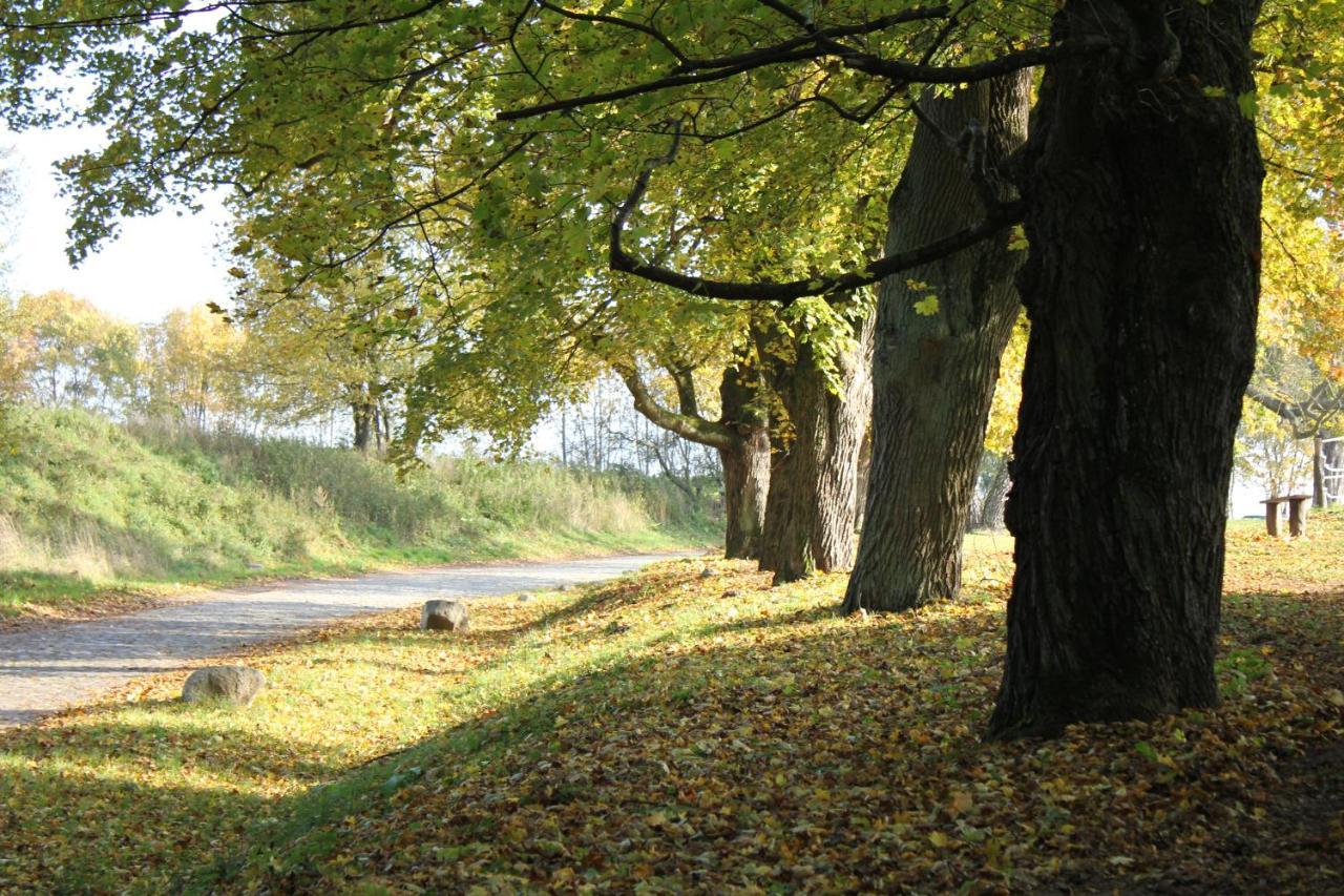 Ferienwohnung Am Weltnaturerbe Grumsin Ziehten Екстер'єр фото